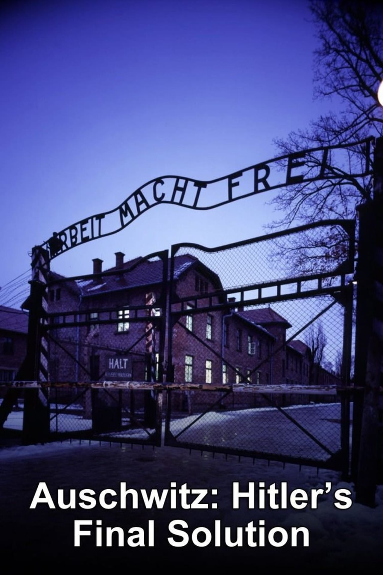 Serie Auschwitz: Hitler's Final Solution