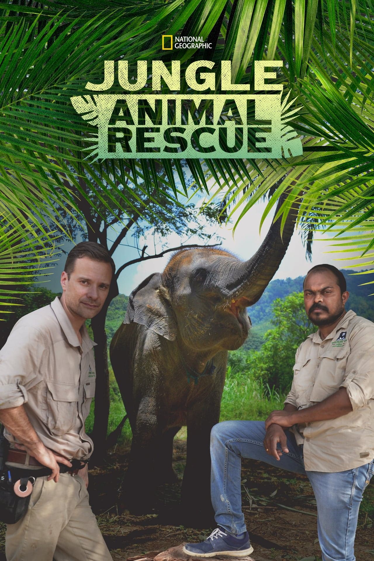 Serie Jungle Animal Rescue